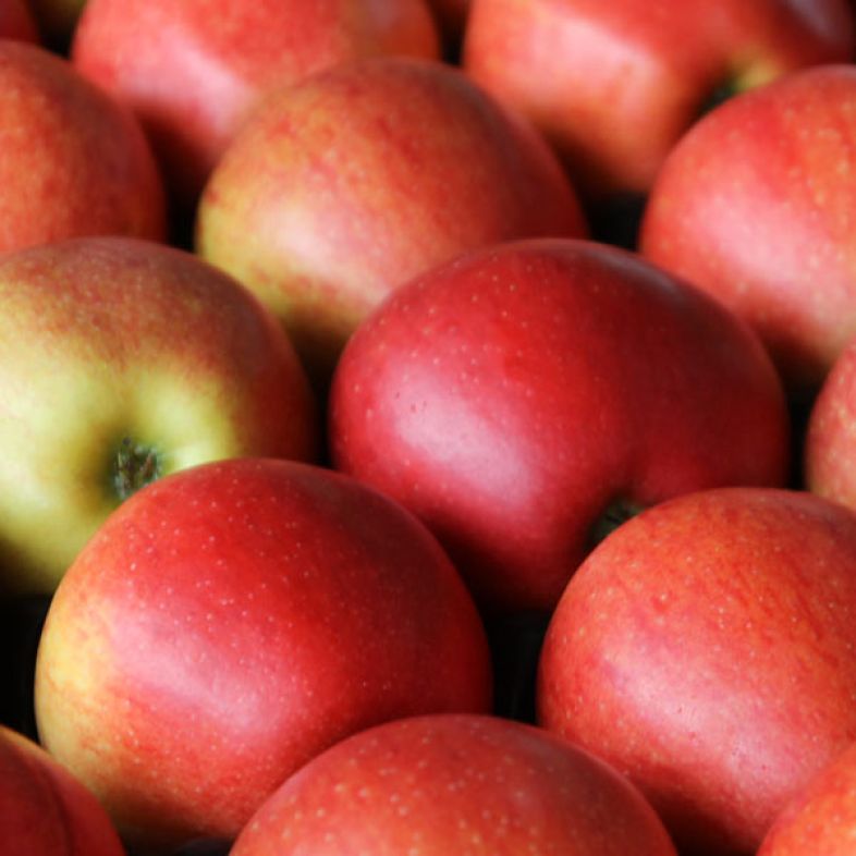 Äpfel Äpfel