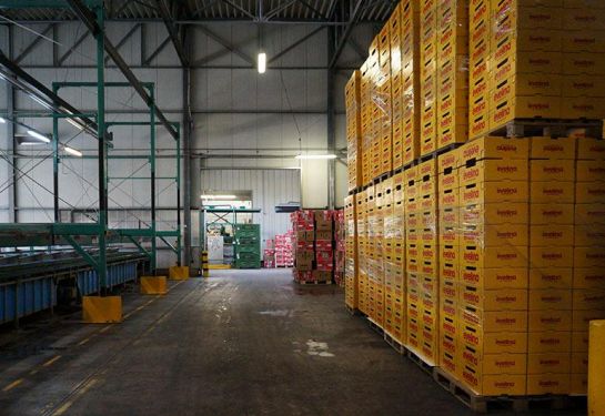 Logistik Halle