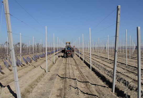 Plantage