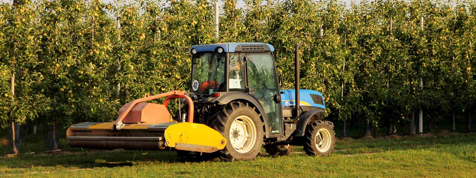 Traktor