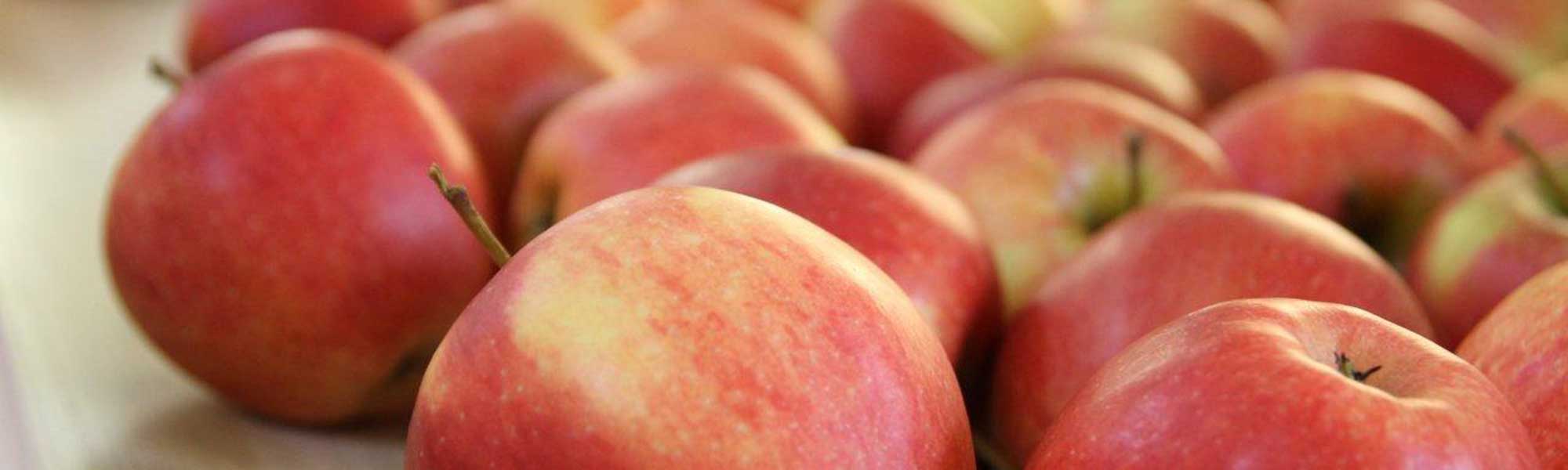 Apples