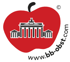 Logo BBobst Logo BBobst